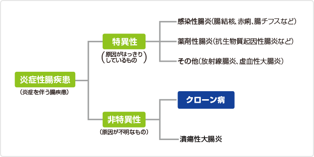 （図）炎症性腸疾患の分類