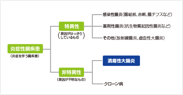 （図）炎症性腸疾患の分類